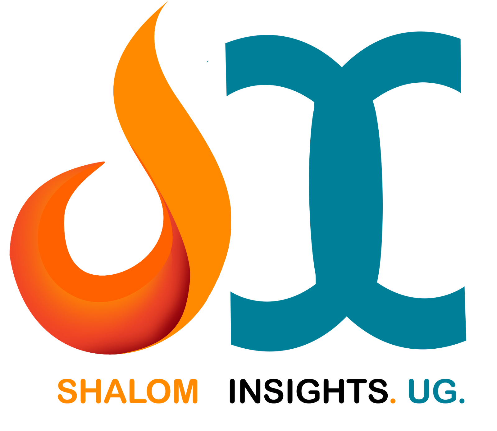 Shalom Insights Logo